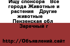 Ищу спонсора - Все города Животные и растения » Другие животные   . Пензенская обл.,Заречный г.
